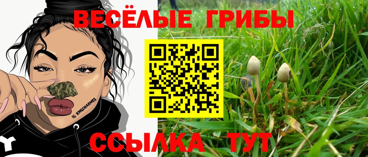 хочу   Вход с VPN  Асбест  Псилоцибиновые грибы Magic Shrooms 